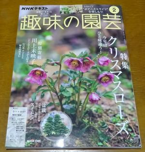 2026　定期購読　02　1