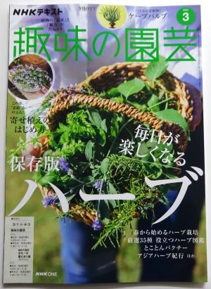 2026　定期購読　3　1