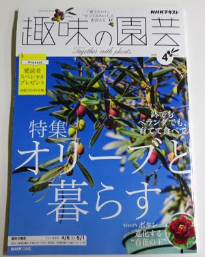 2026　定期購読　4　1