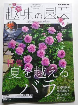 2026　定期購読　5　1