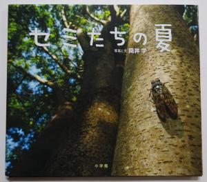 2026　新刊　4.5　5