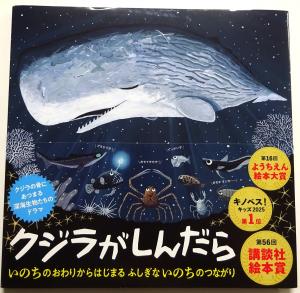 2026　新刊　4.5　9
