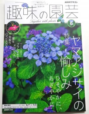 2026　定期購読　6　1