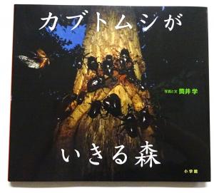 2026　新刊　6　9