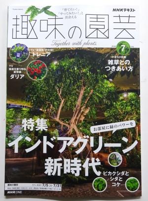 2026　定期購読　07　1