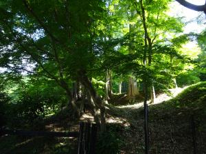 20260722　大尽屋敷　４