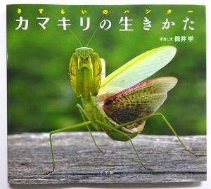 2026　78　新刊書籍　1