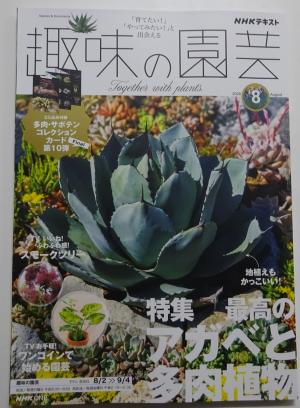 2026　8　定期購読　1