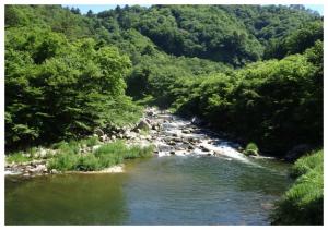 緑輝く高瀬川渓谷