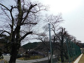 0417