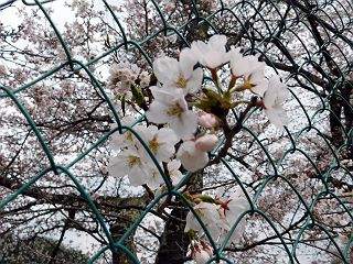 0419
