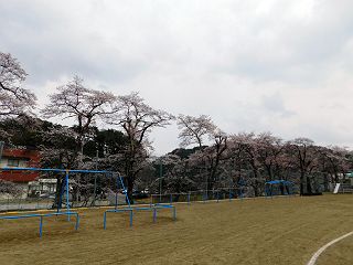 0419