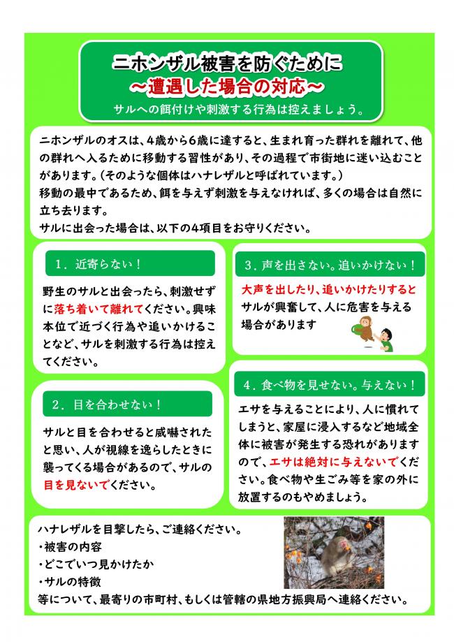 ニホンザル被害を防ぐために～遭遇した場合の対応～
